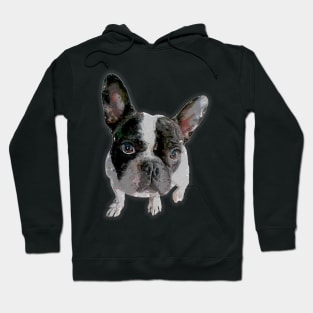 Cute French Bulldog Puppy Hoodie